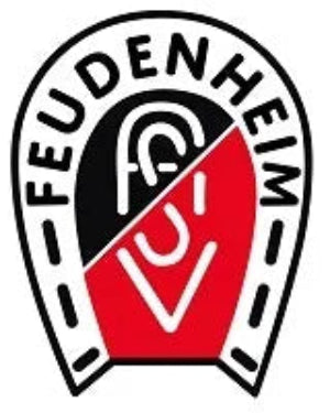 Logo des ASv Feudenheim in Farbe